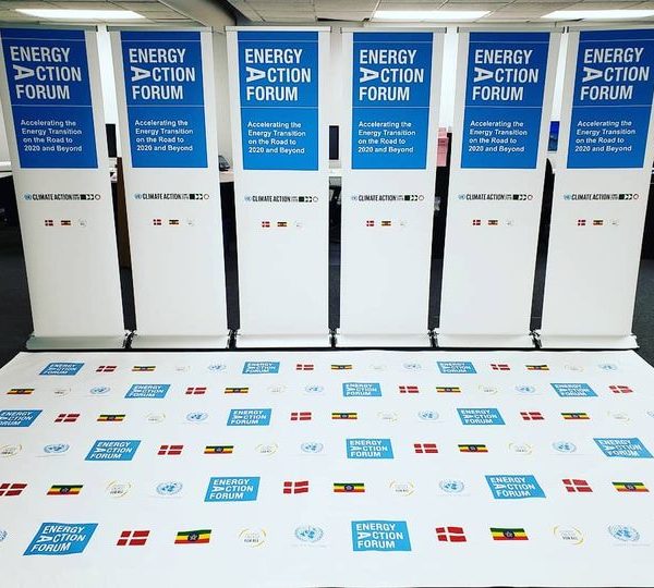 Image of a Step and Repeat Banner and Retractable Banners