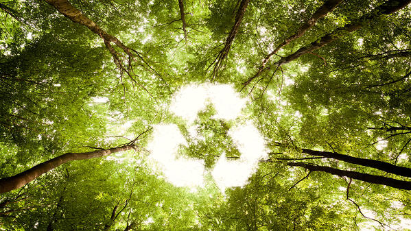 Image of a Forest With The Recycling Icon Over it